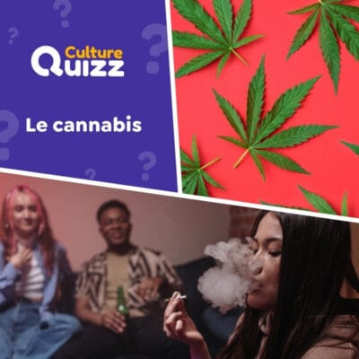 Quiz sp&eacute;cial sur le cannabis : r&eacute;glementation, risques, l&eacute;galit&eacute;, effets...