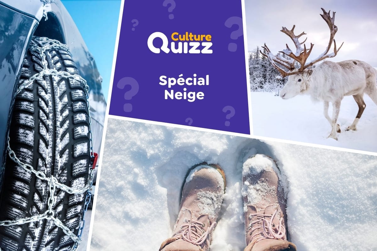 Quiz spécial Neige - Quiz 100% neige - testez vos connaissances