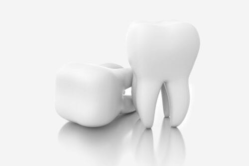 Le sang circule dans les dents. Vrai ou faux ? 