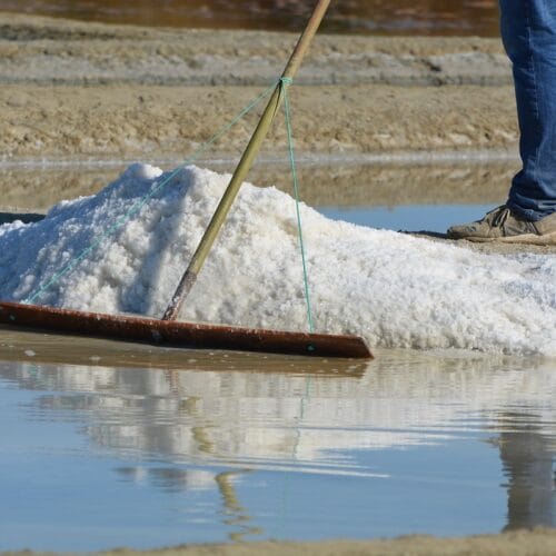 Quel est le nom de cet outil traditionnel utilisé par les sauniers de l'île de Ré pour récolter la fleur de sel ? 