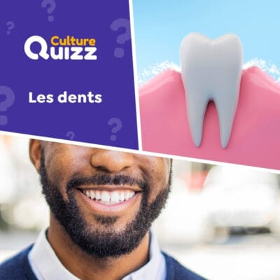 Quiz spécial sur les dents des humains