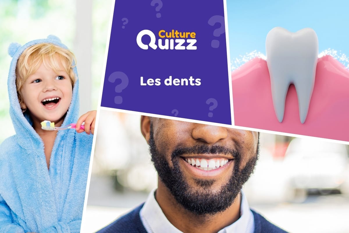 Quiz spécial Dents - Quiz spécial sur les dents des humains