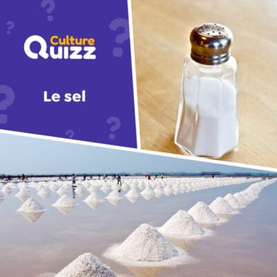 Quiz sp&eacute;cial sel - tout savoir