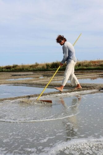 Quel est le nom donné à un exploitant d'un marais salant ou d'une saline ? 