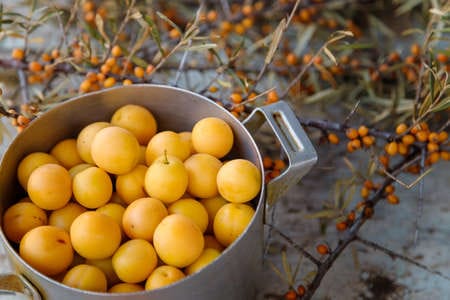 Quelle région française historique est spécialisée dans l’eau-de-vie de mirabelle ? 
