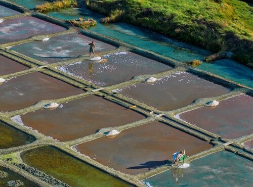 Quel est le nom de la fine couche de cristaux blancs qui se forme à la surface des marais salants ? 