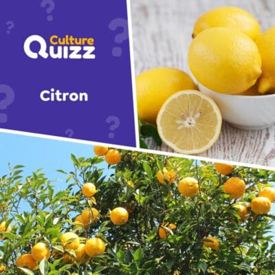 Quiz spécial sur les citrons - Fruits
