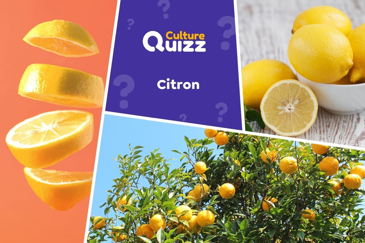 Quiz spécial Citrons - Quiz spécial sur les citrons - Fruits