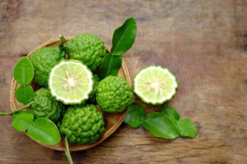 Sous quel nom est aussi connu le citron kaffir ? 