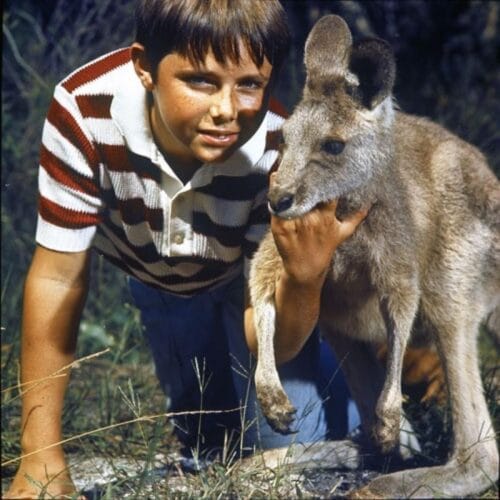 Quel est le nom du kangourou, star d’une série télé australienne de la fin des années 1960 ? 