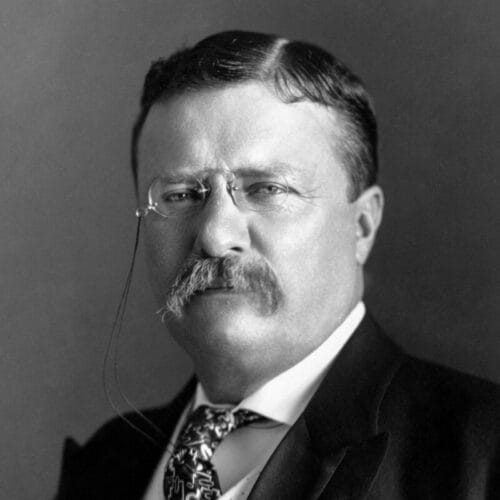 Comme George W. H. Bush, Theodore Roosevelt a vu son fils devenir président des États-Unis. Vrai ou faux ? 