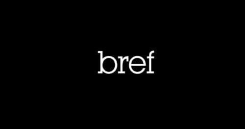 Quel humoriste est le co-créateur et acteur principal de la série TV Bref ? 