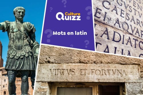 Quiz sur les mots en latin qu'il faut traduire