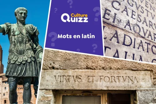 Quiz les plus Populaires du moment | Culture Quizz