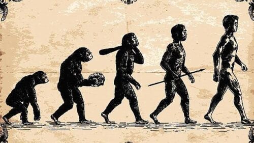 Quel scientifique anglais du XIXe a rédigé l’ouvrage L’origine des espèces dans lequel il expose sa célèbre théorie de l’évolution ? 