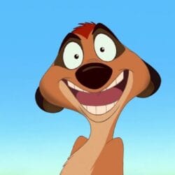 Timon 