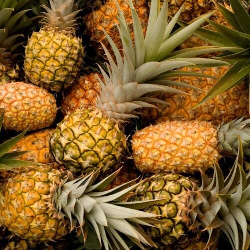 Parmi ces propositions, laquelle ne désigne pas une variété d’ananas ? 