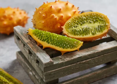 Quel est le nom souvent donné au végétal africain nommé le kiwano ? 