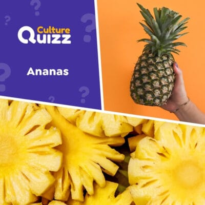 Quiz spécial Ananas - fruit