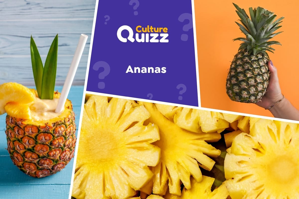 Quiz spécial Ananas - Quiz spécial Ananas - fruit