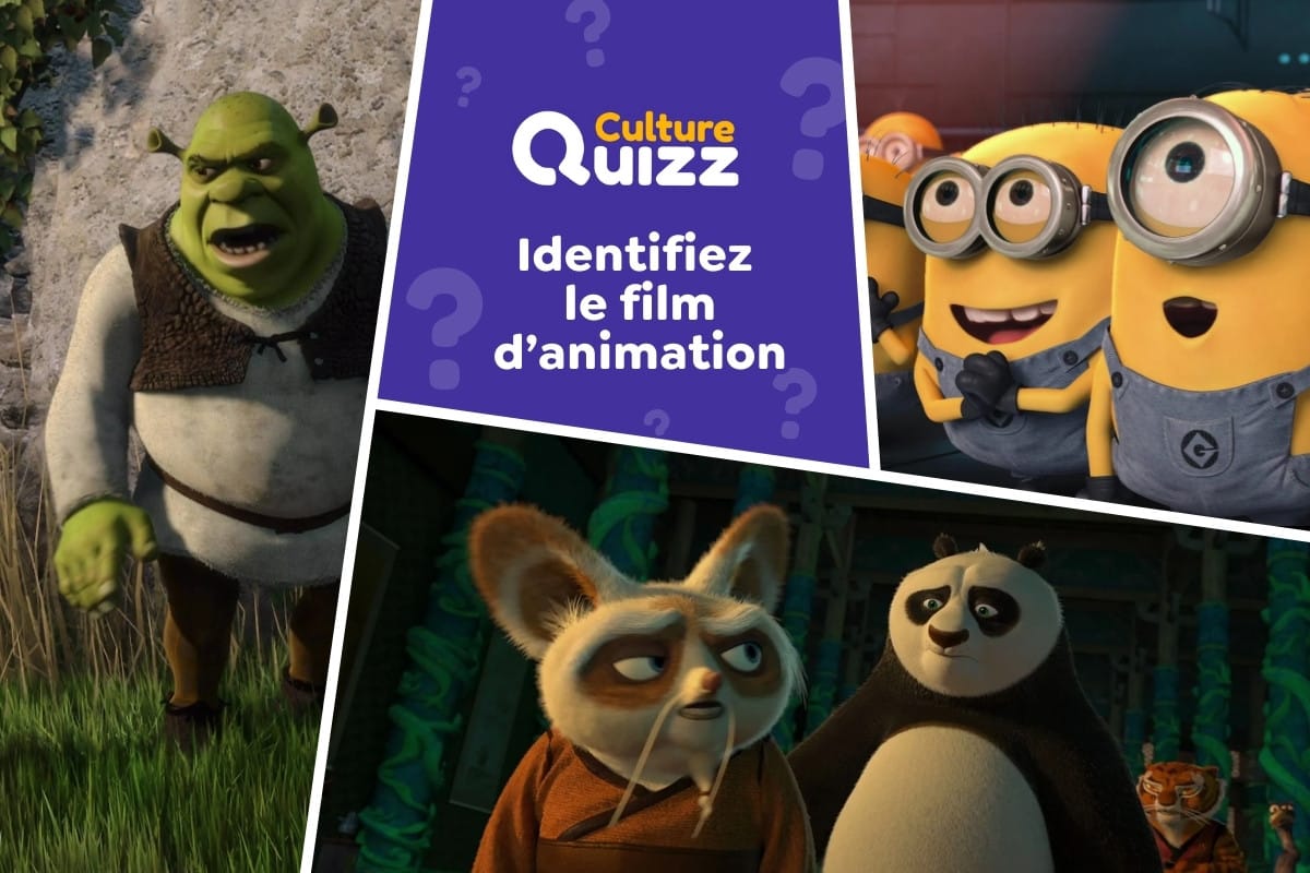 Identifiez le Film d'animation en 1 seule image - 