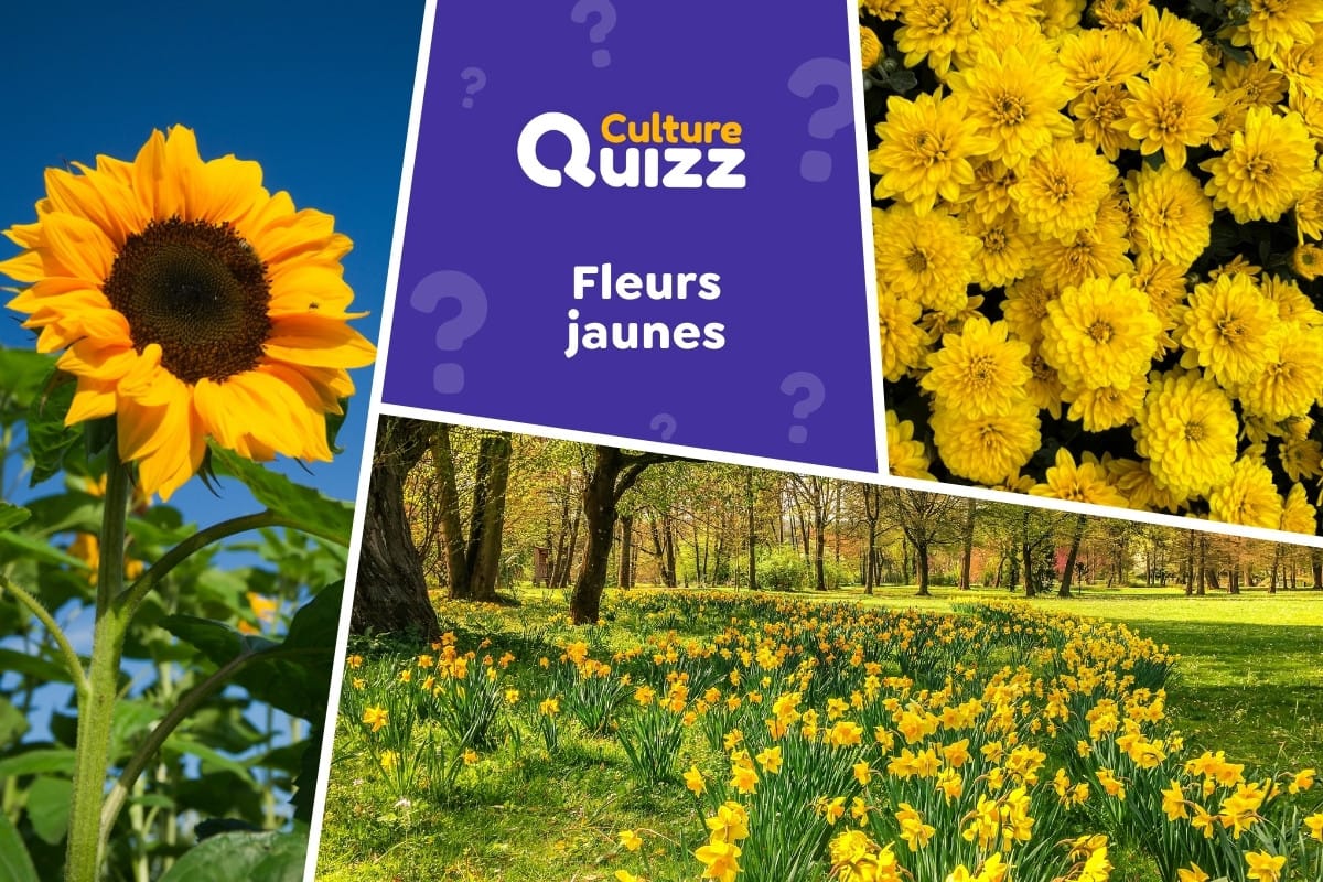 Quiz spécial Fleurs jaunes - Quiz spécial sur les fleurs de couleur jaune