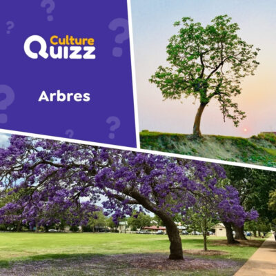 Quiz sp&eacute;cial arbres - testez votre culture des plantes