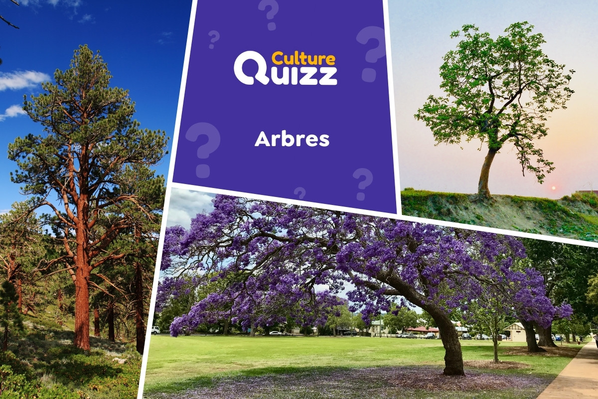 Quiz spécial Arbres #2 - Quiz spécial arbres - testez votre culture des plantes