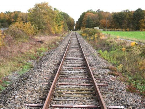 Les premières voies ferrées ont été construites avec l’arrivée de la locomotive à vapeur. Vrai ou faux ? 