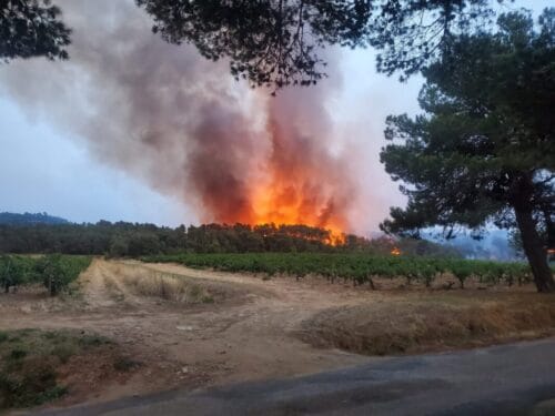 Quel massif forestier a été victime d'un incendie de taille exceptionnelle près de Narbonne entre le 5 et le 28 août 2025 ? 