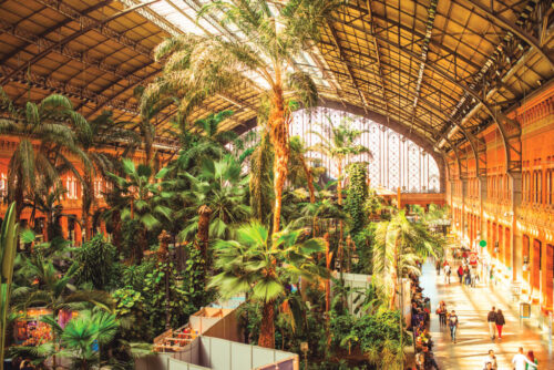 Quelle est cette gare d’Europe qui possède sa propre forêt tropicale ? 