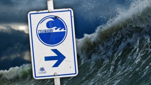 De quelle langue est issu le mot tsunami ? 