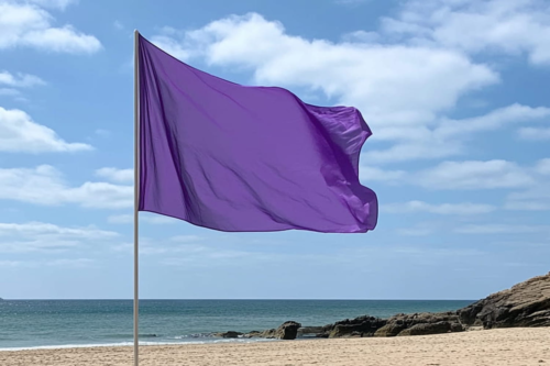 Quelle est la signification d’un drapeau violet sur une plage ? 