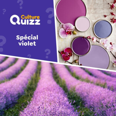 Quiz sp&eacute;cial sur le violet - Quiz couleur