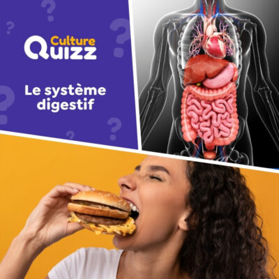 Quiz testez votre culture sur le syst&egrave;me digestif.