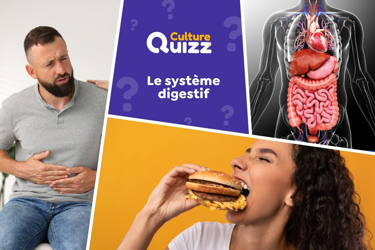 Quiz spécial Système Digestif - Quiz testez votre culture sur le système digestif.