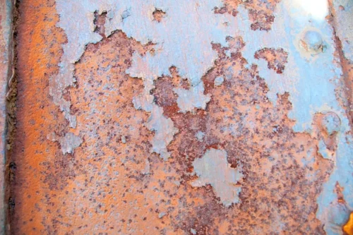 Quel est le nom scientifique de la rouille ? 