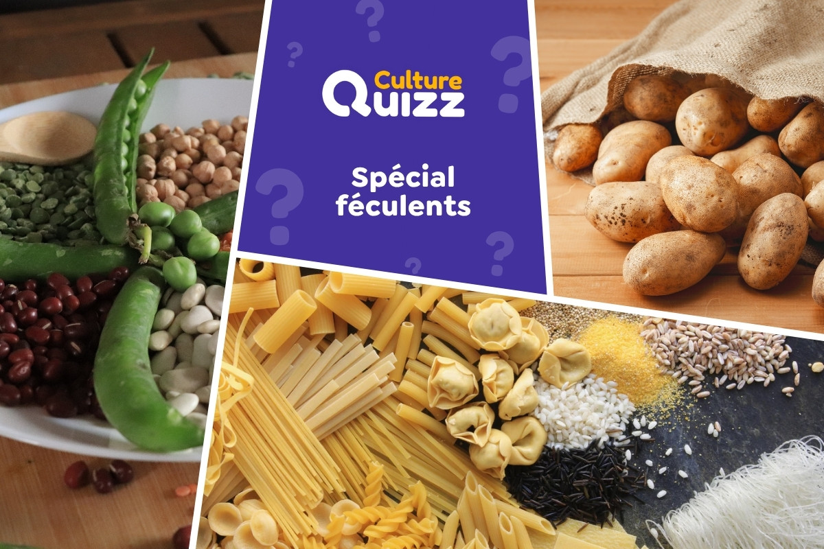 Quiz spécial Féculents - Testez vos connaissances avec un quiz dédié aux féculents - Quiz alimentation
