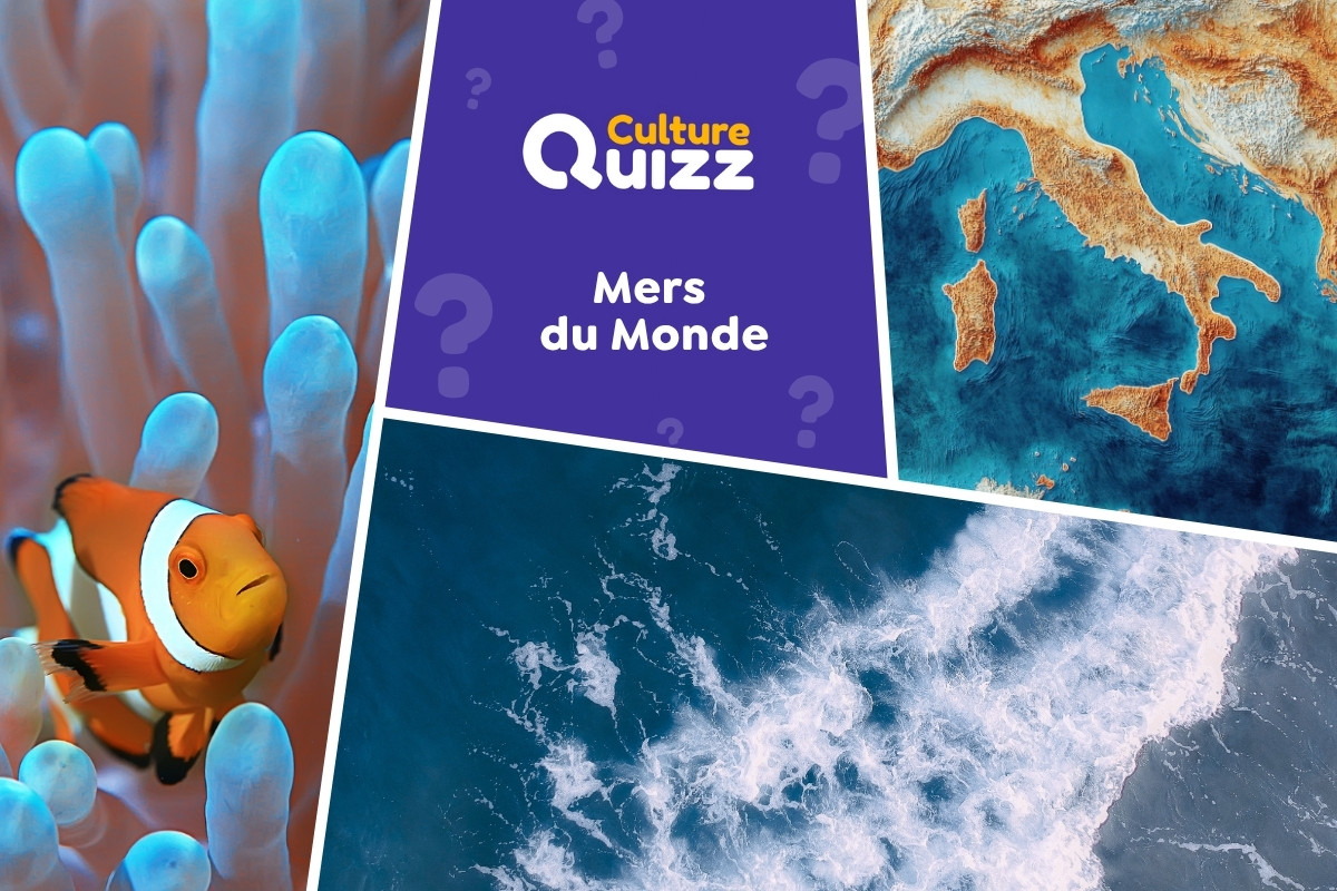 Quiz spécial Mers du monde - Quiz spécial sur les mers de la plnète Terre