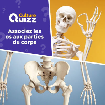 Testez vos connaissances des os du corps humain