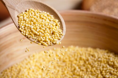 Quel est le nom des céréales en photo qui sont des féculents sans gluten ? 
