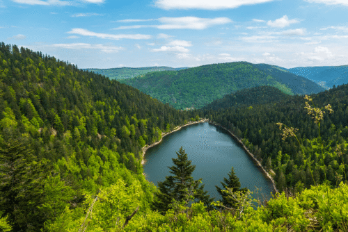Jeanne d’Arc est née dans les Vosges. Vrai ou faux ? 