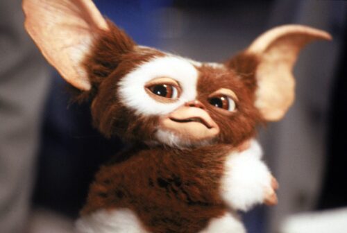 Quel est le nom donné au gentil mogwai star du film Les Gremlins de 1984 ? 