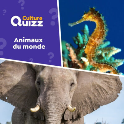 Animaux du Monde - Quiz faune du monde