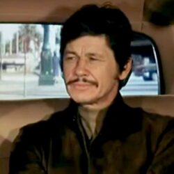 Charles Bronson 