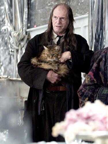 Quel est le nom de la chatte qu'Argus Rusard porte souvent dans ses bras ? 