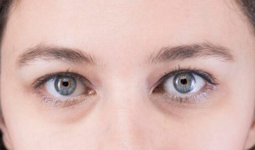 Comment se nomme la partie blanche de l’œil humain ? 