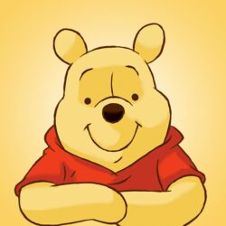 Winnie l’ourson 