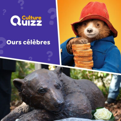 Quiz sp&eacute;cial sur les ours c&eacute;l&egrave;bres, r&eacute;els ou de fiction