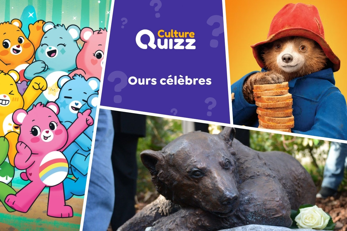 Quiz spécial Ours célèbres - Quiz spécial sur les ours célèbres, réels ou de fiction